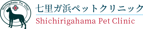 鎌倉市七里ガ浜の動物病院 七里ガ浜ペットクリニック