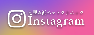 七里ガ浜ペットクリニック インスタグラム