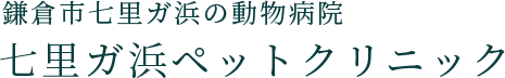 鎌倉市七里ガ浜の動物病院<br />
七里ガ浜ペットクリニック